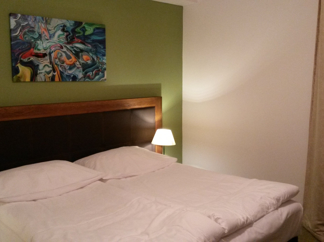Hotel U Kvapilu主图