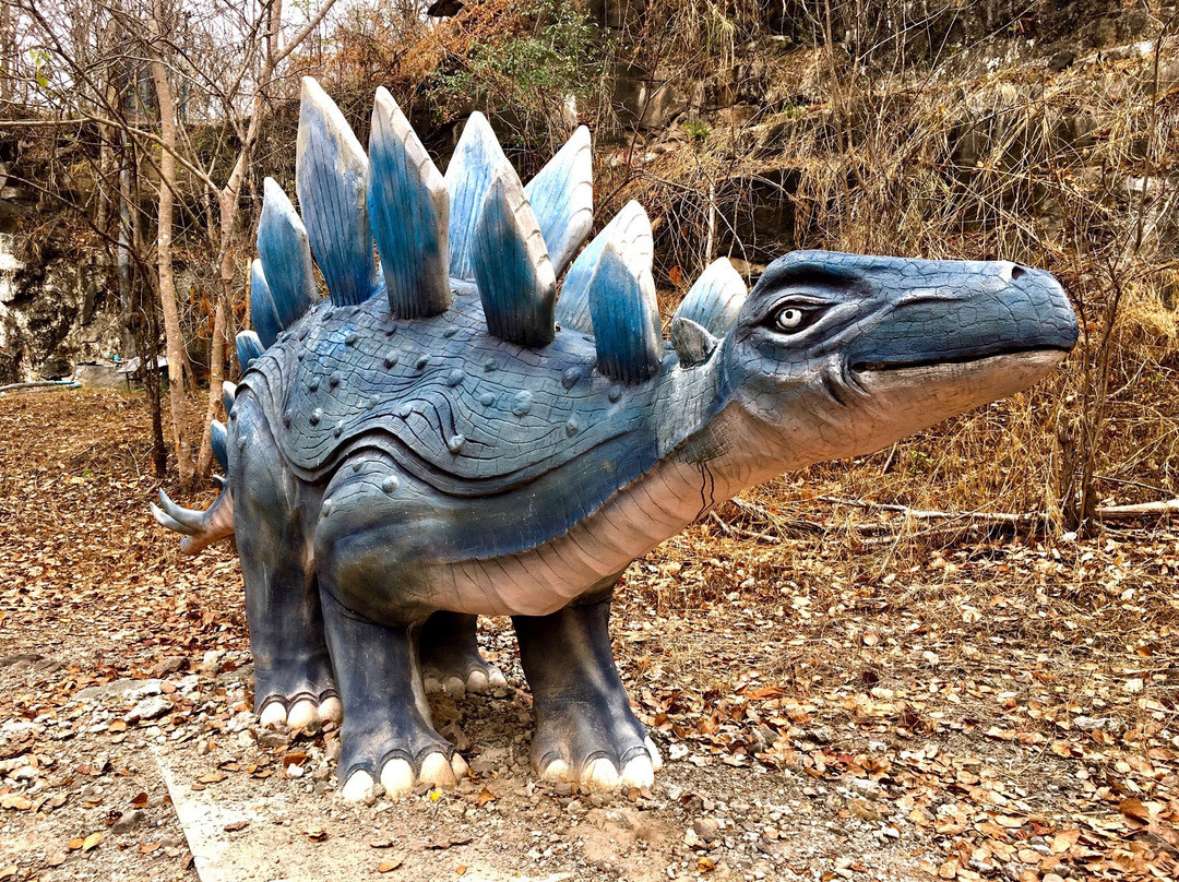 Million-year-old shell fossils景点图片