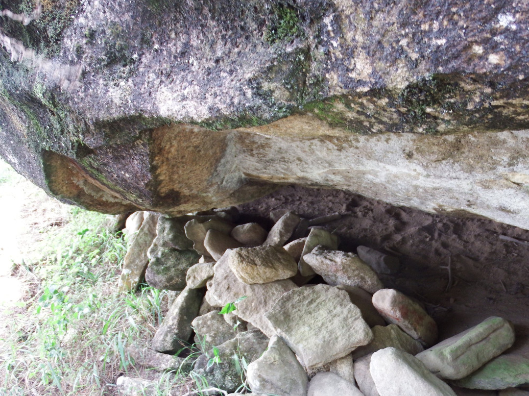 Lavender Garden Hotel主图