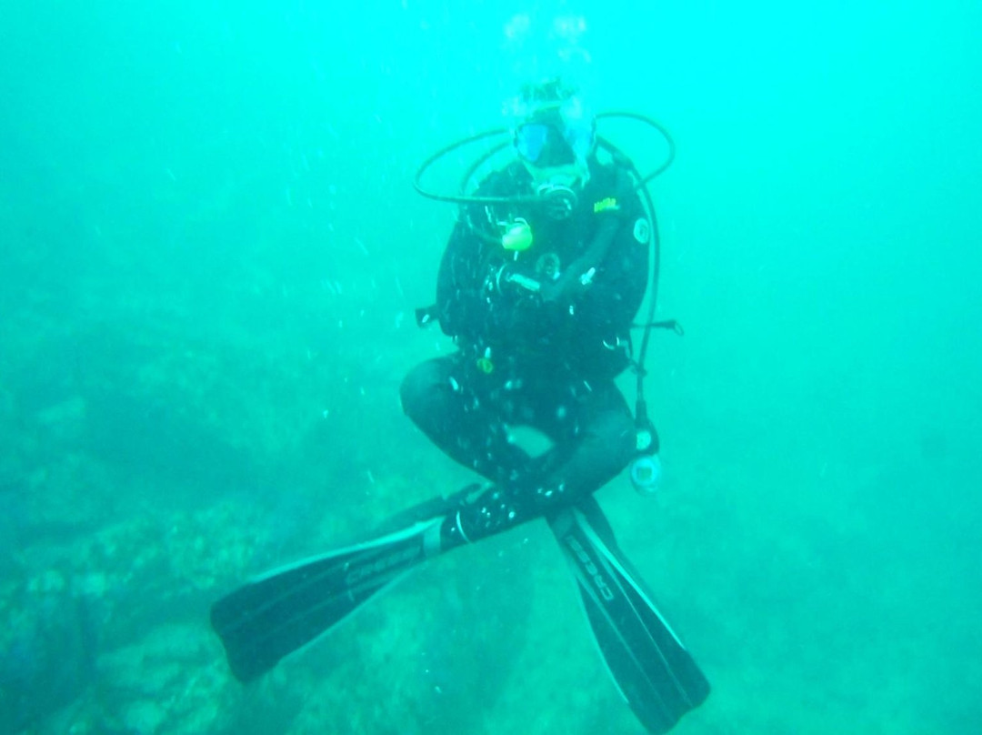 Baja Diving Adventures景点图片