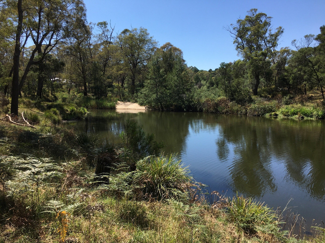 Berrima River Walk景点图片