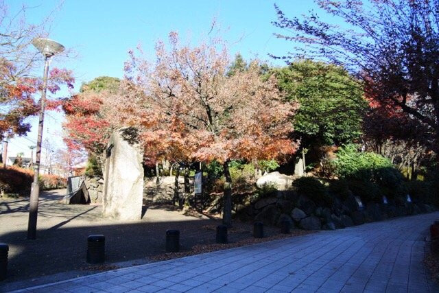 Momijiyama Park-中野区必去景点