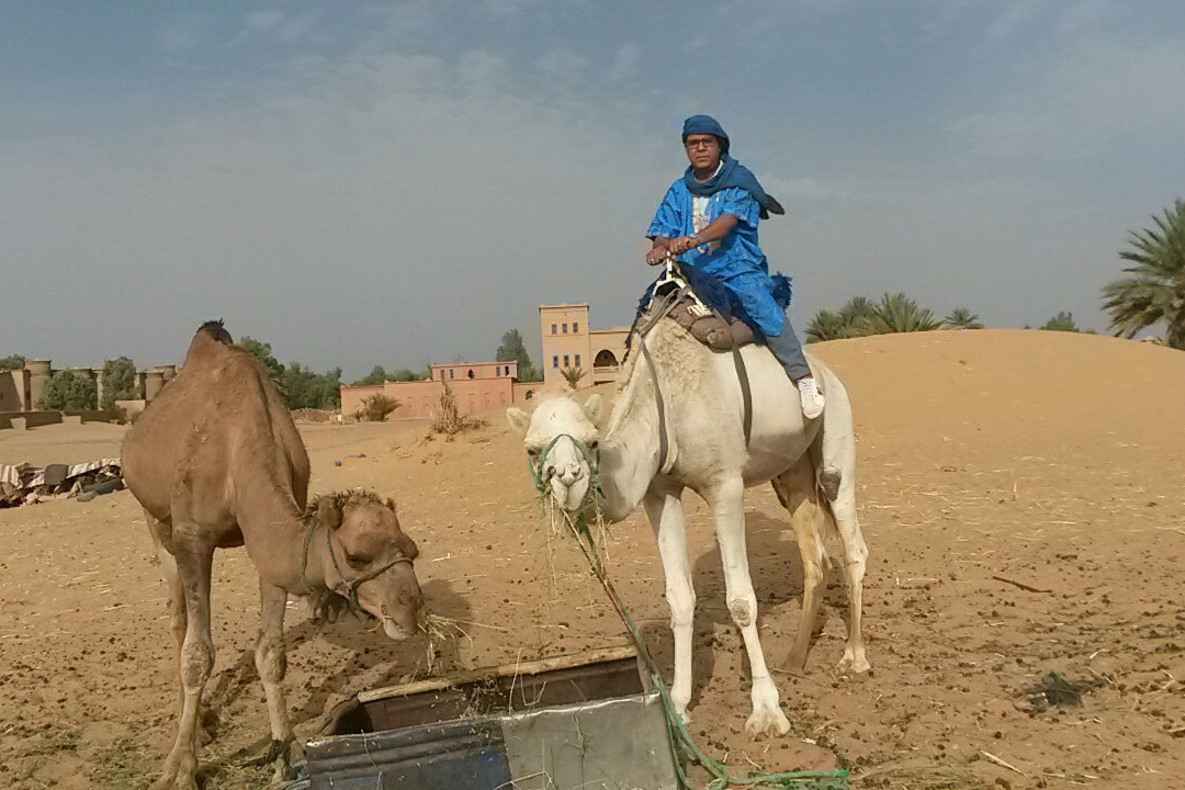 Fez Tour Guide-非斯必去景点