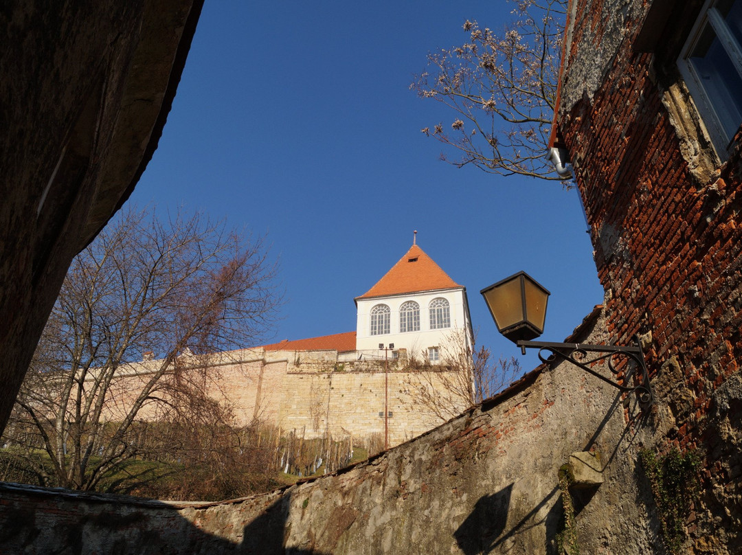 Ptuj City Theatre-普图伊必去景点