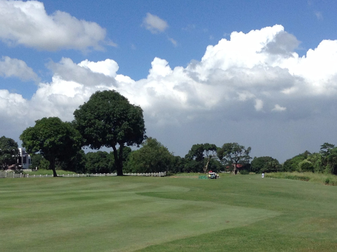 The Orchard Golf & Country Club-达斯马里尼亚斯市必去景点