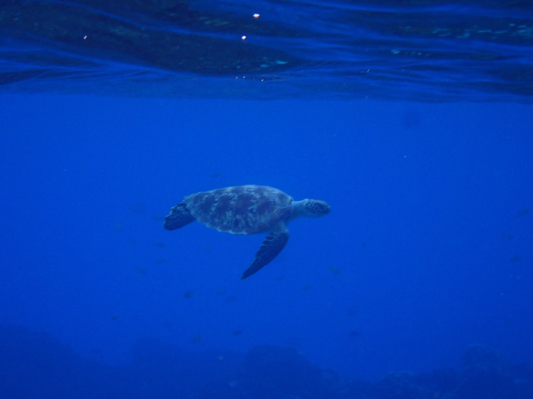 Tachogna Beach-Tinian必去景点