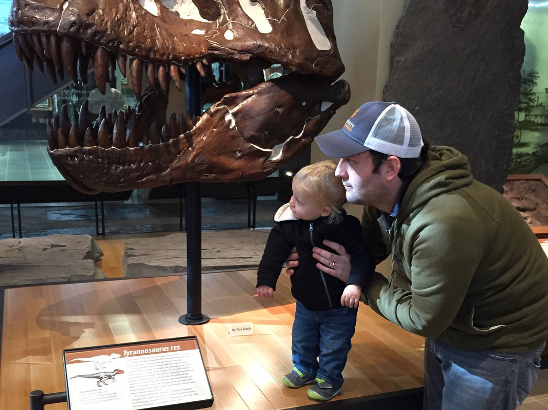 Amherst College Museum of Natural History-艾姆赫斯特必去景点