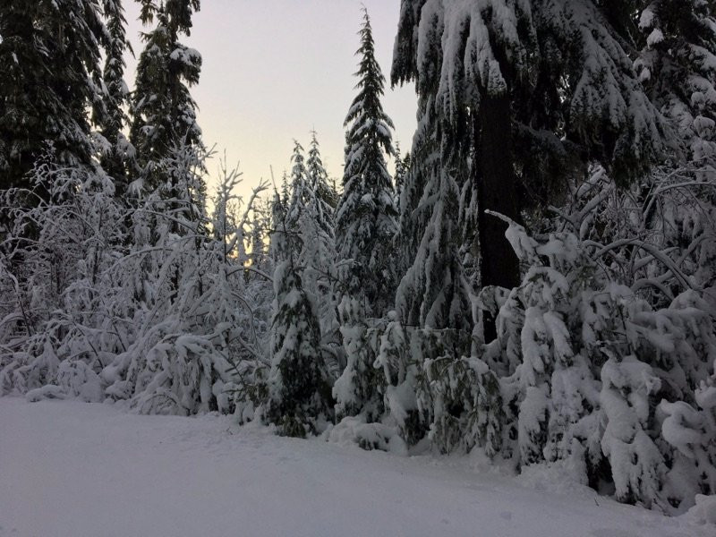 Willamette Pass Resort-Crescent必去景点