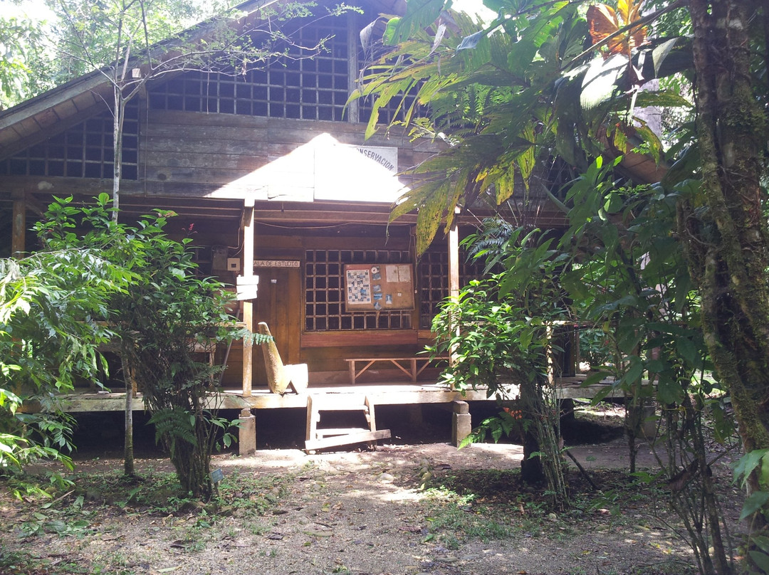 Jatun Sacha Biological Reserve-Misahualli必去景点