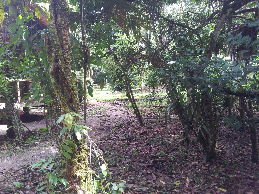 Jatun Sacha Biological Reserve-Misahualli必去景点