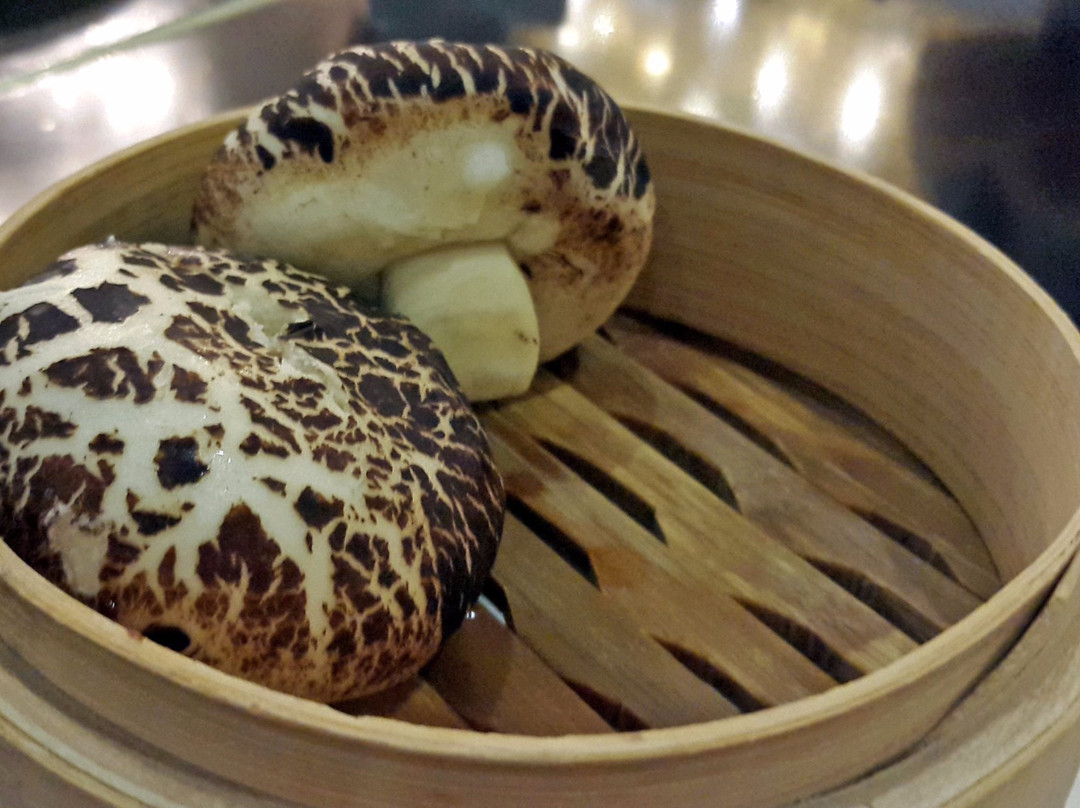 索菲斯锦苑宾馆主图