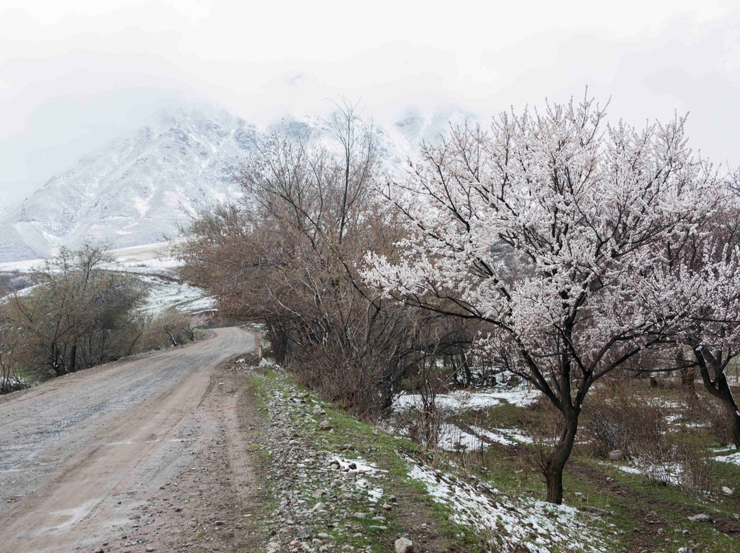 Chunkurchak Gorge-比斯凯克必去景点
