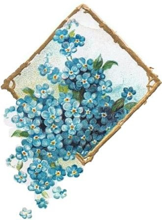 Belle Fleur Store-图沃柏必去景点