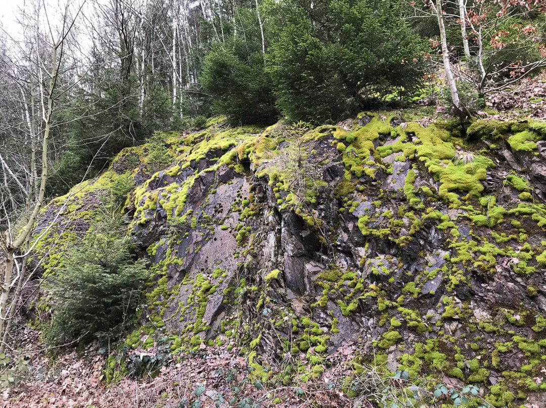 Innerstetalsperre-Langelsheim必去景点