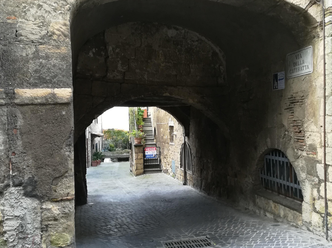 Civitavecchia-Tours-Cerveteri必去景点