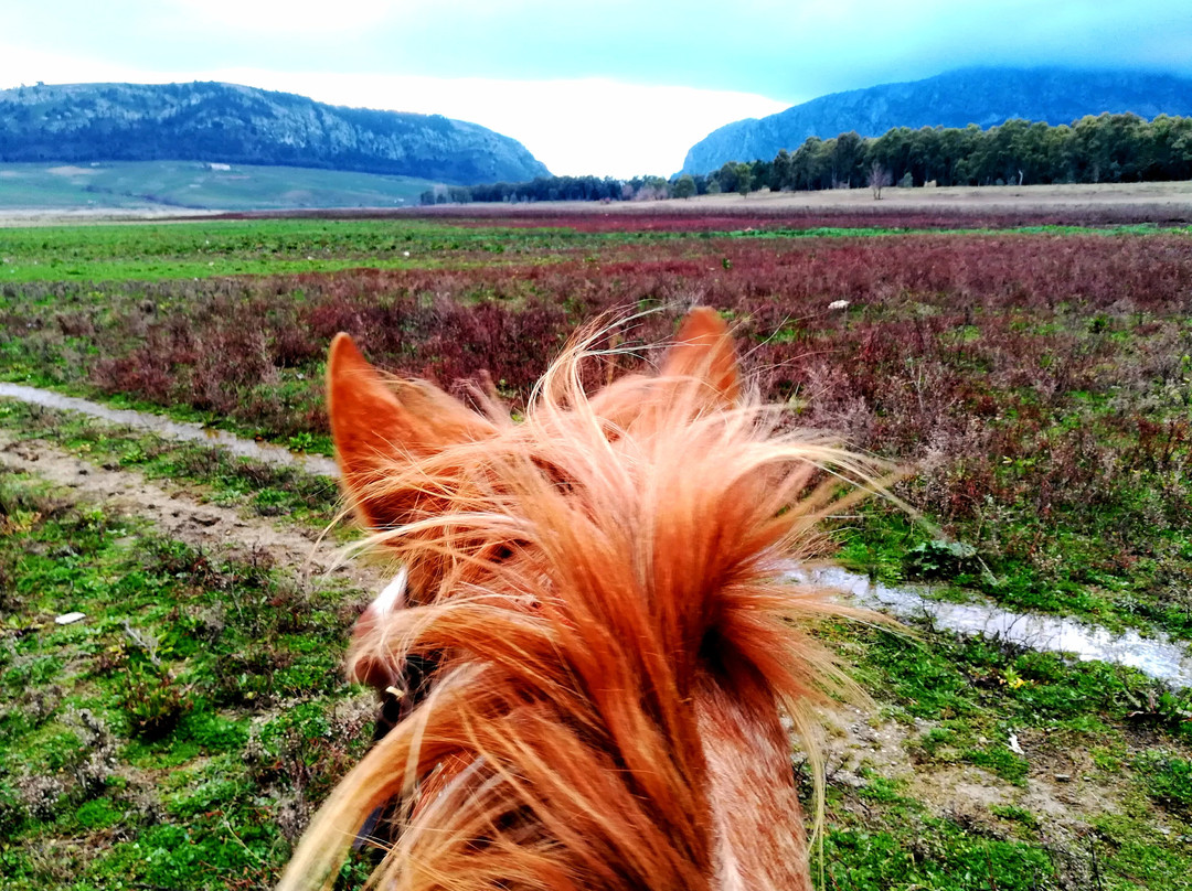 Maneggio Equiranch-Piana degli Albanesi必去景点