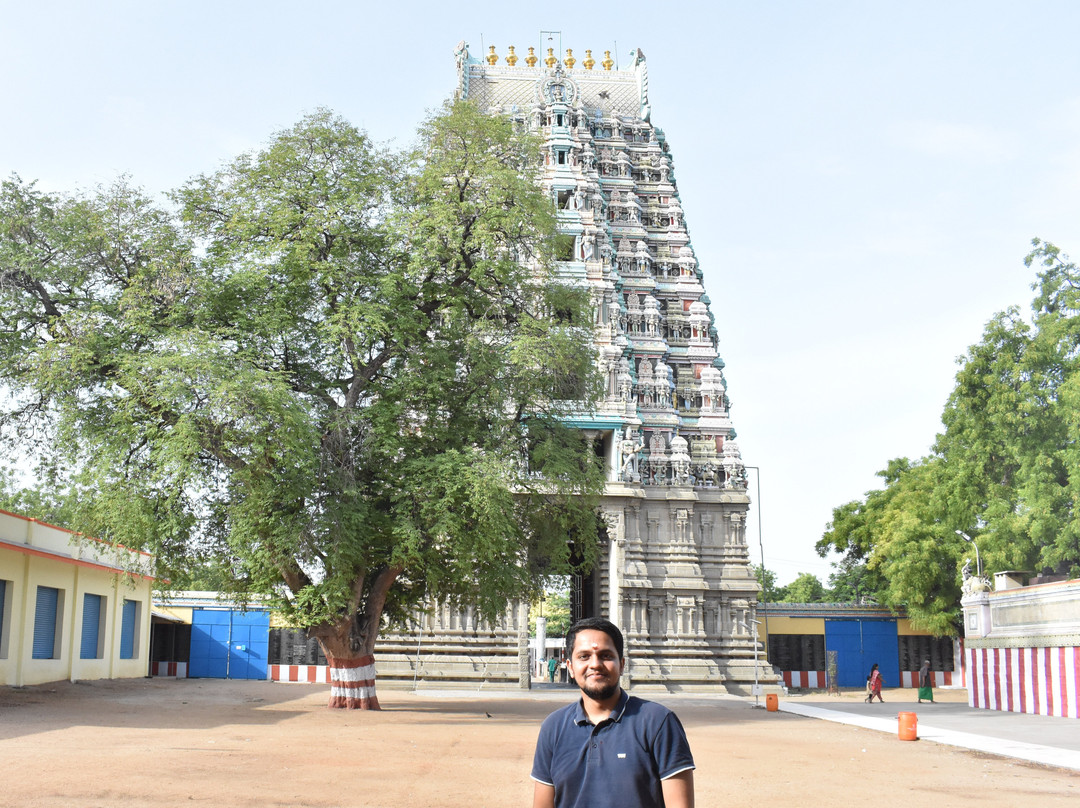Sri Badrakaliamman Temple景点图片
