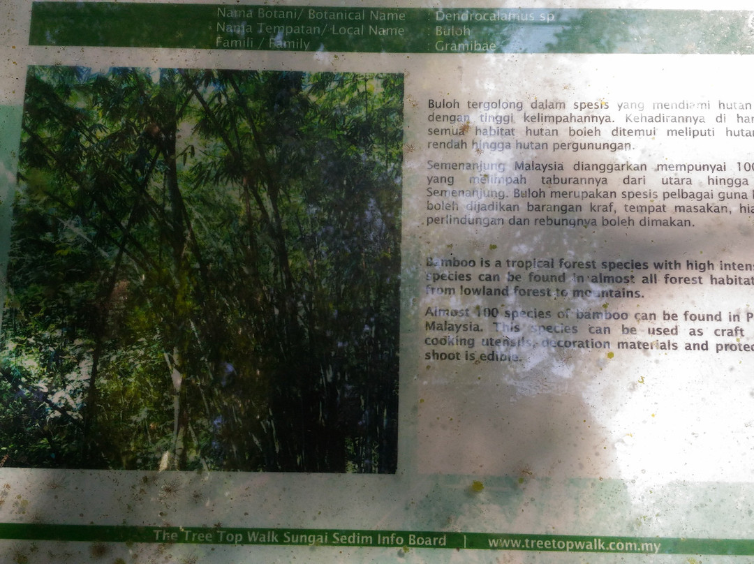 Sungai Sedim Recreational Forest景点图片