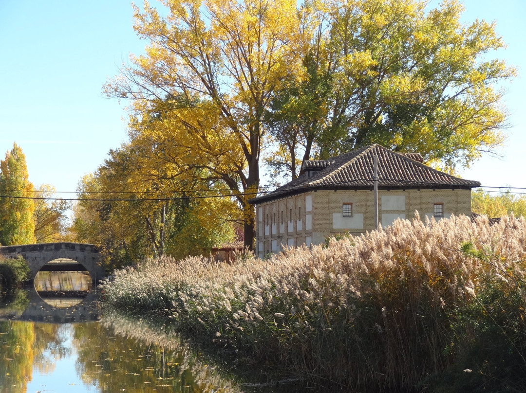 Museo del Canal景点图片