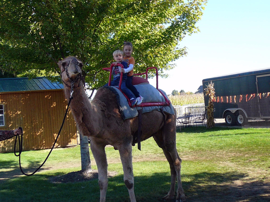 Didier Farms-Lincolnshire必去景点