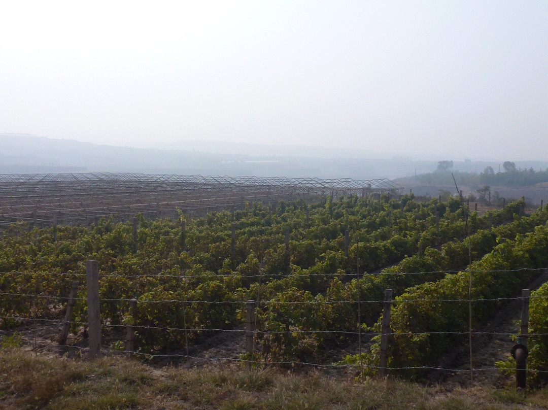 怡园酒庄-太谷县必去景点