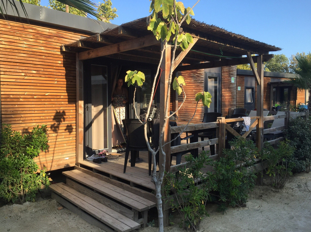 诺瓦山林小屋露营地