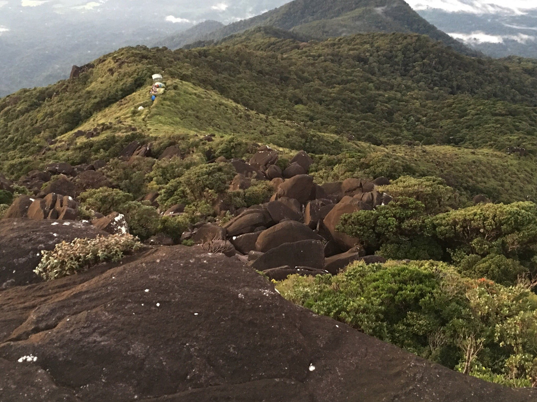 Mount Bartle Frere- 阿瑟顿必去景点