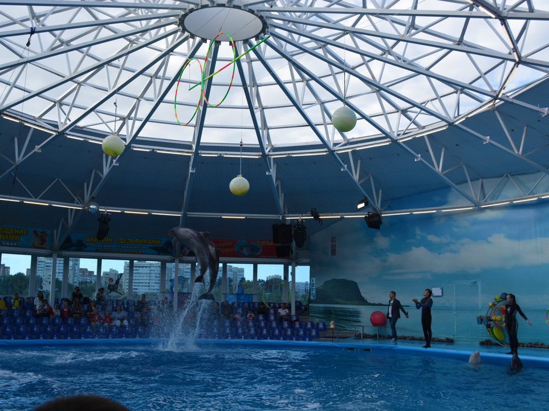 Minsk Dolphinarium Nemo-明斯克必去景点