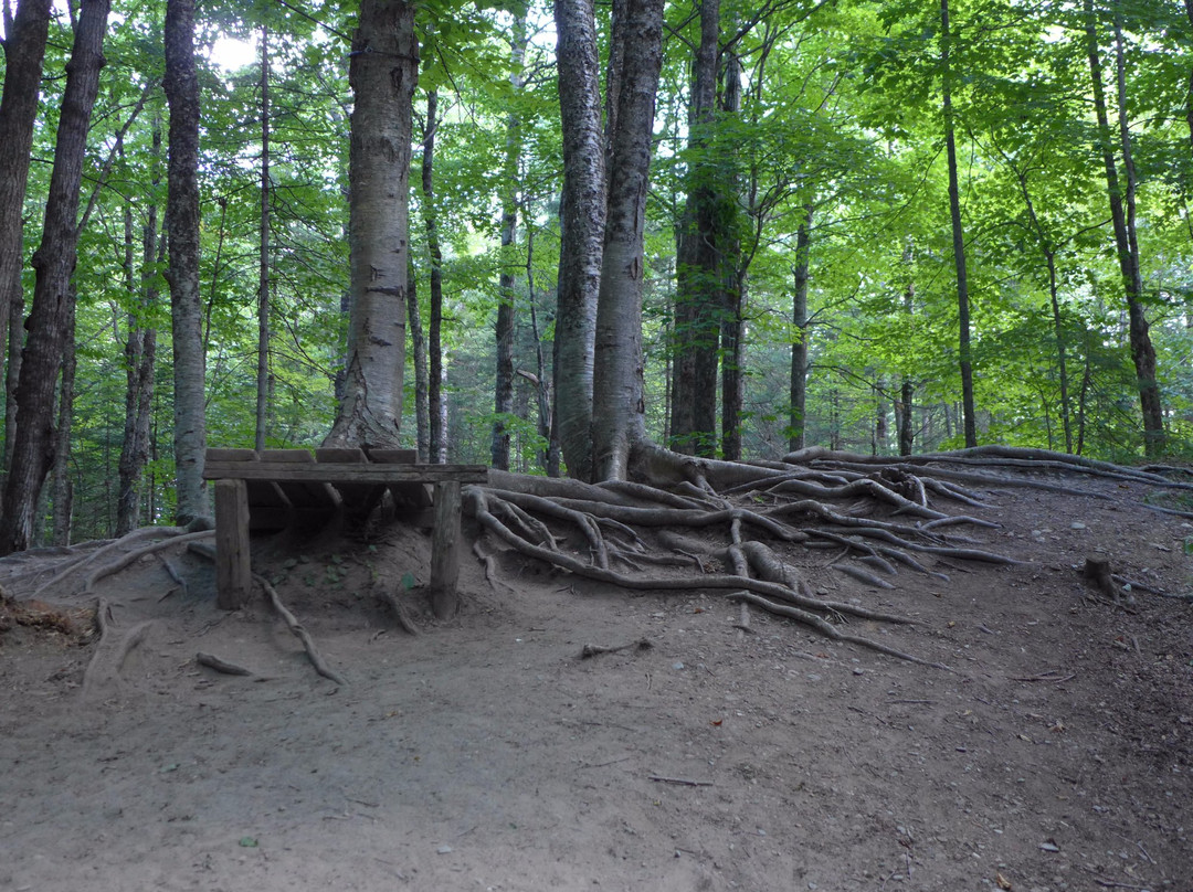 Parc des Deux  Rivières-East Angus必去景点