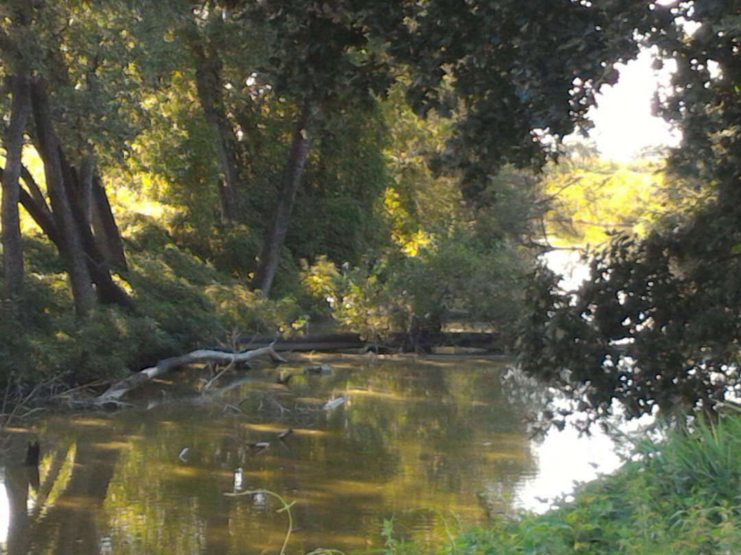 Riserva naturale orientata Parma Morta
