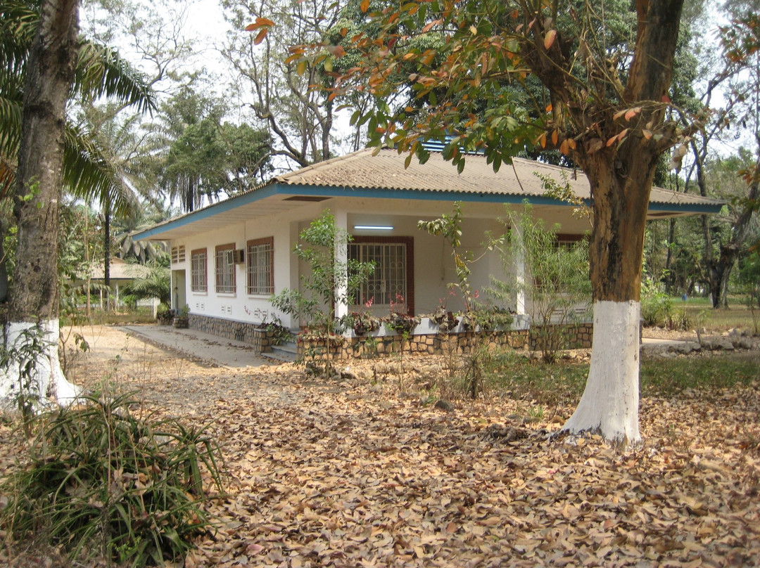 Lukala旅游攻略图片