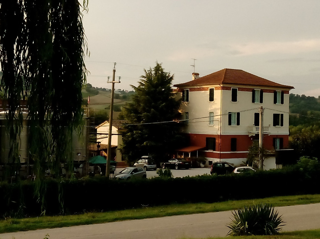 Casa Vinicola Geminiani景点图片