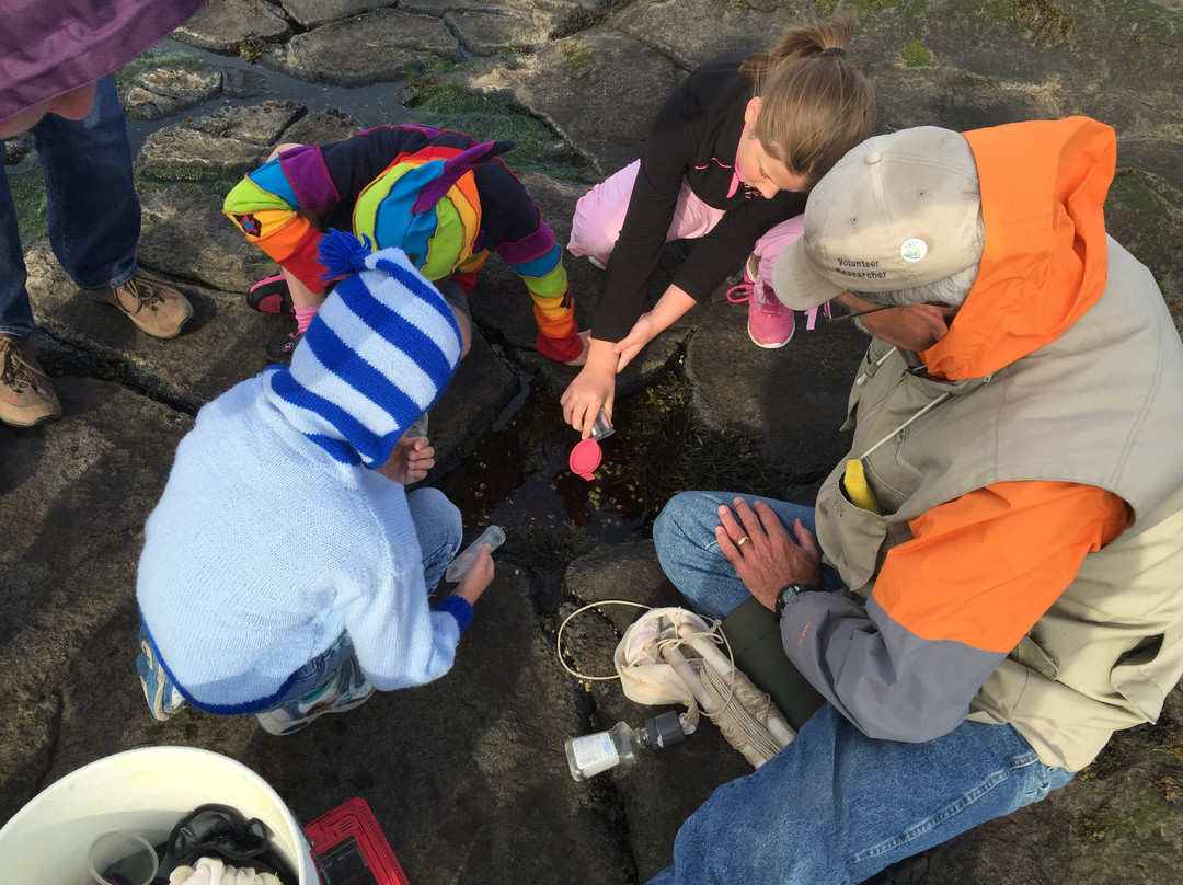 GAEL Tours-Smith's Cove必去景点