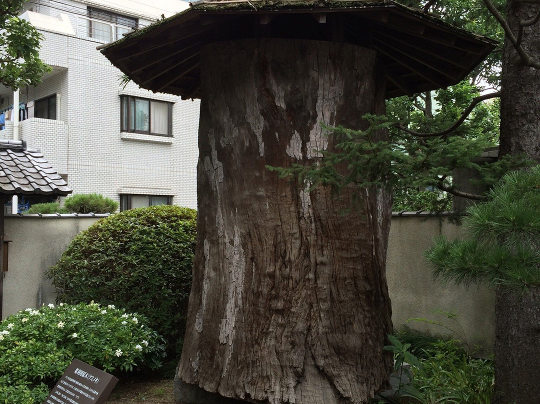 Hirakushi Denchu Art Museum-小平市必去景点