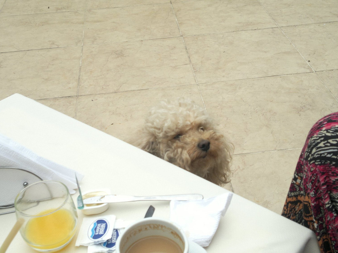 La Casa de MR Maria Rafaela主图