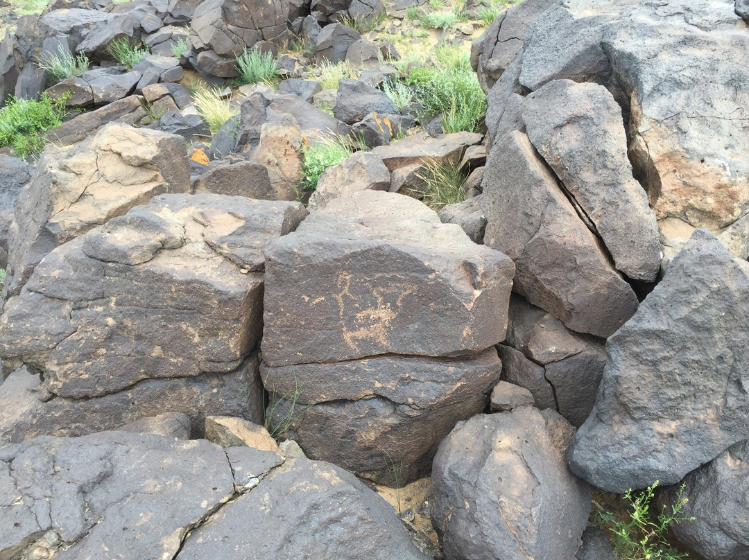 Khavtsgait Petroglyphs-Gobi Gurvansaikhan National Park必去景点