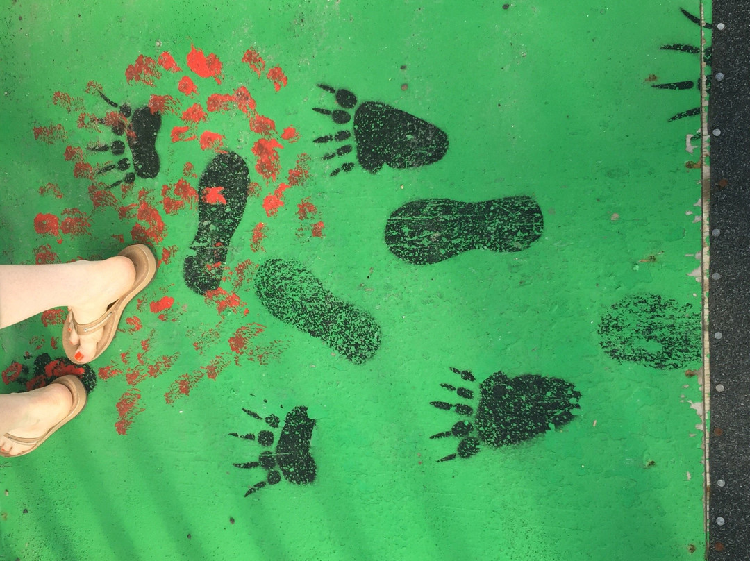 The Screaming Weasel Gift Shop-北极必去景点