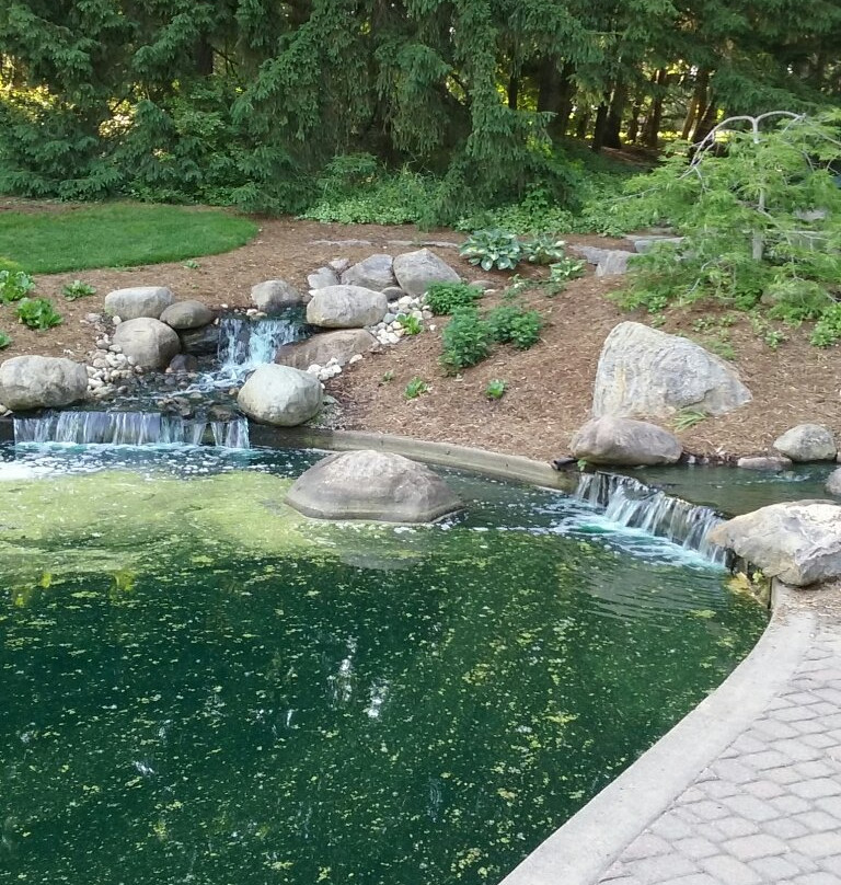 Calvin Ecosystem Preserve & Native Gardens-大急流市必去景点