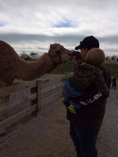 Gallrein Farms-谢尔比维尔必去景点