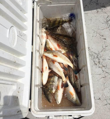 Fury Outfitters-新奥尔良必去景点