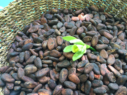 Maui Chocolate Tour-库拉必去景点