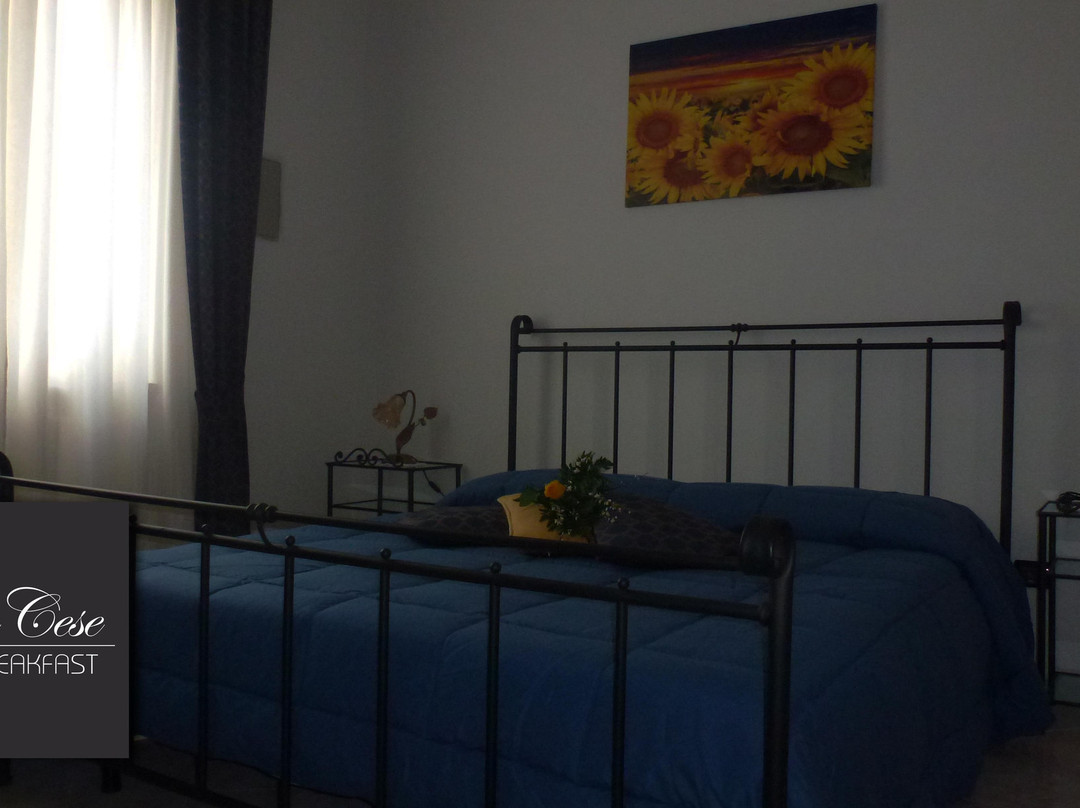 B&B Villa Cese