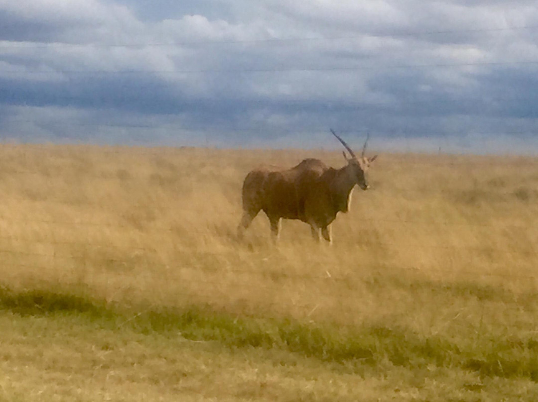 Vaal Dam-普马兰加省必去景点