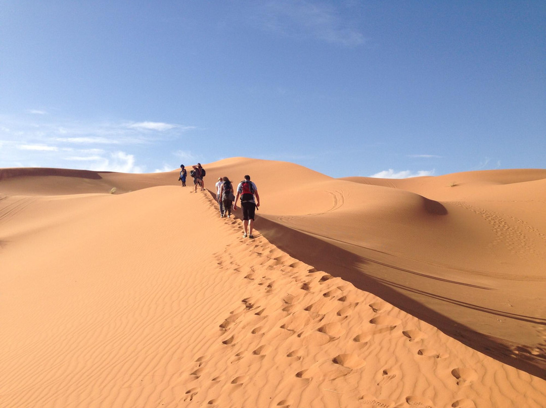 Merzouga Camel Trekking - Day Tours-梅如卡必去景点