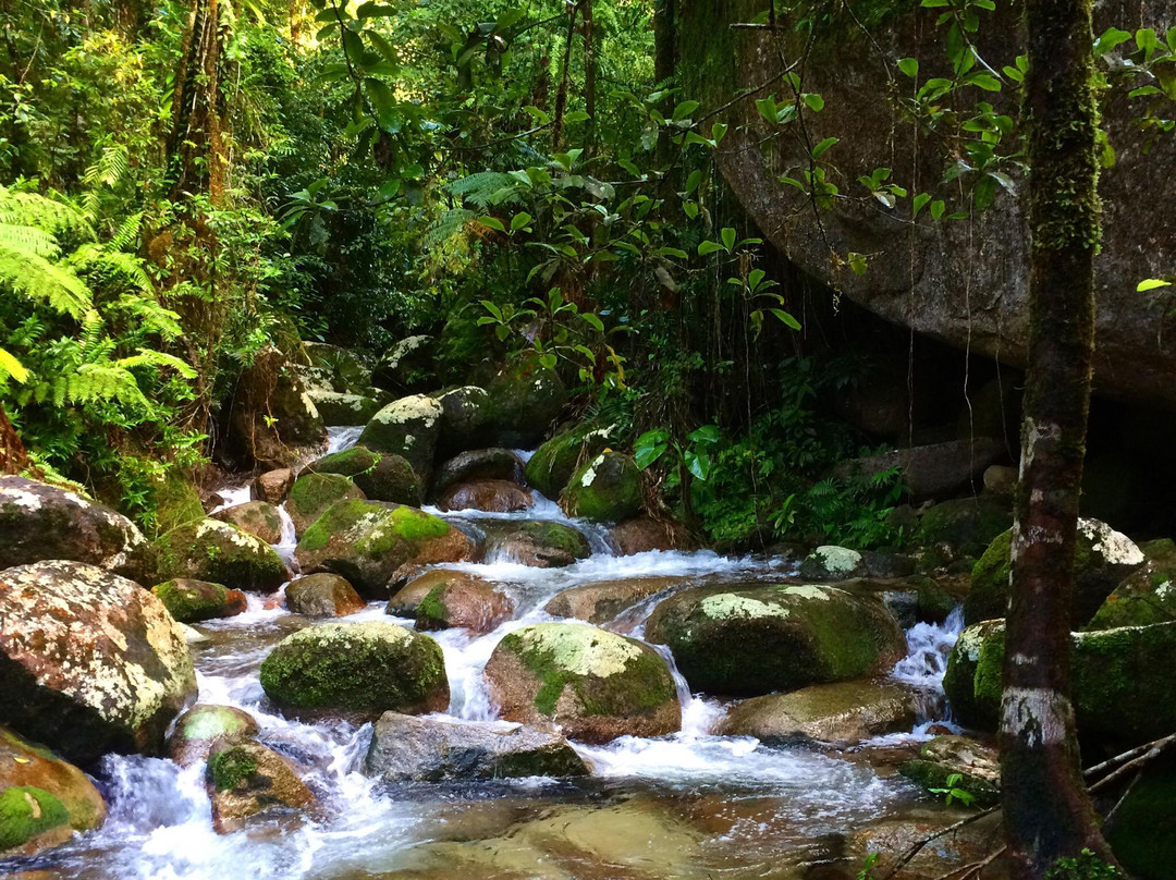 Mount Bartle Frere- 阿瑟顿必去景点