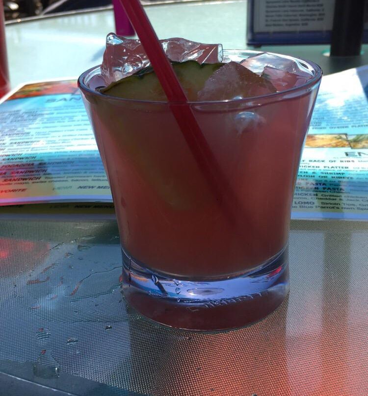 The Blue Parrot Grill-穆尔斯维尔必去景点