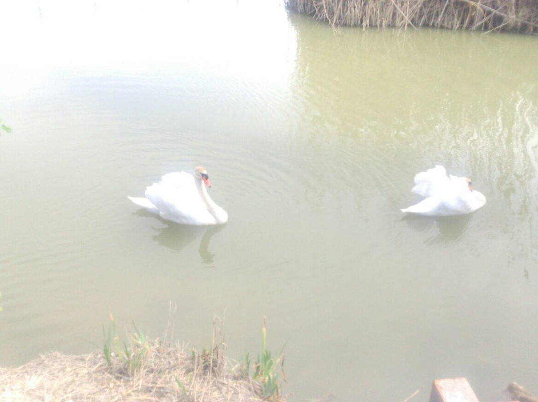 DeltaPolet景点图片
