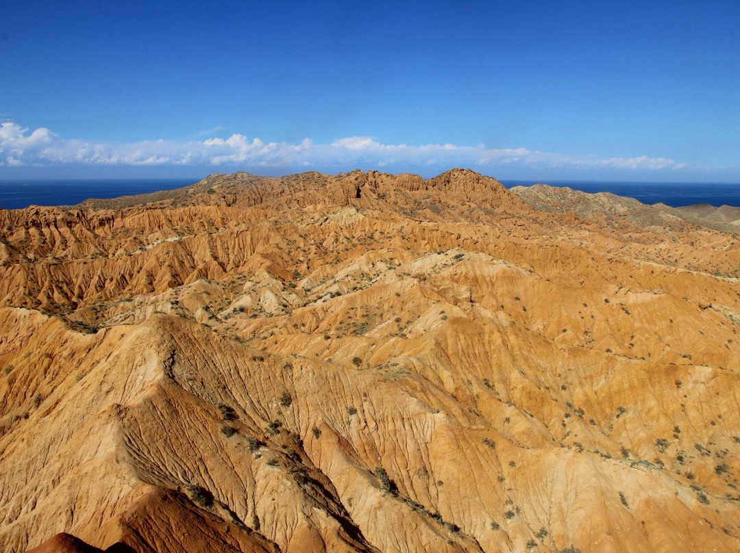 Canyon Fairy Tale景点图片