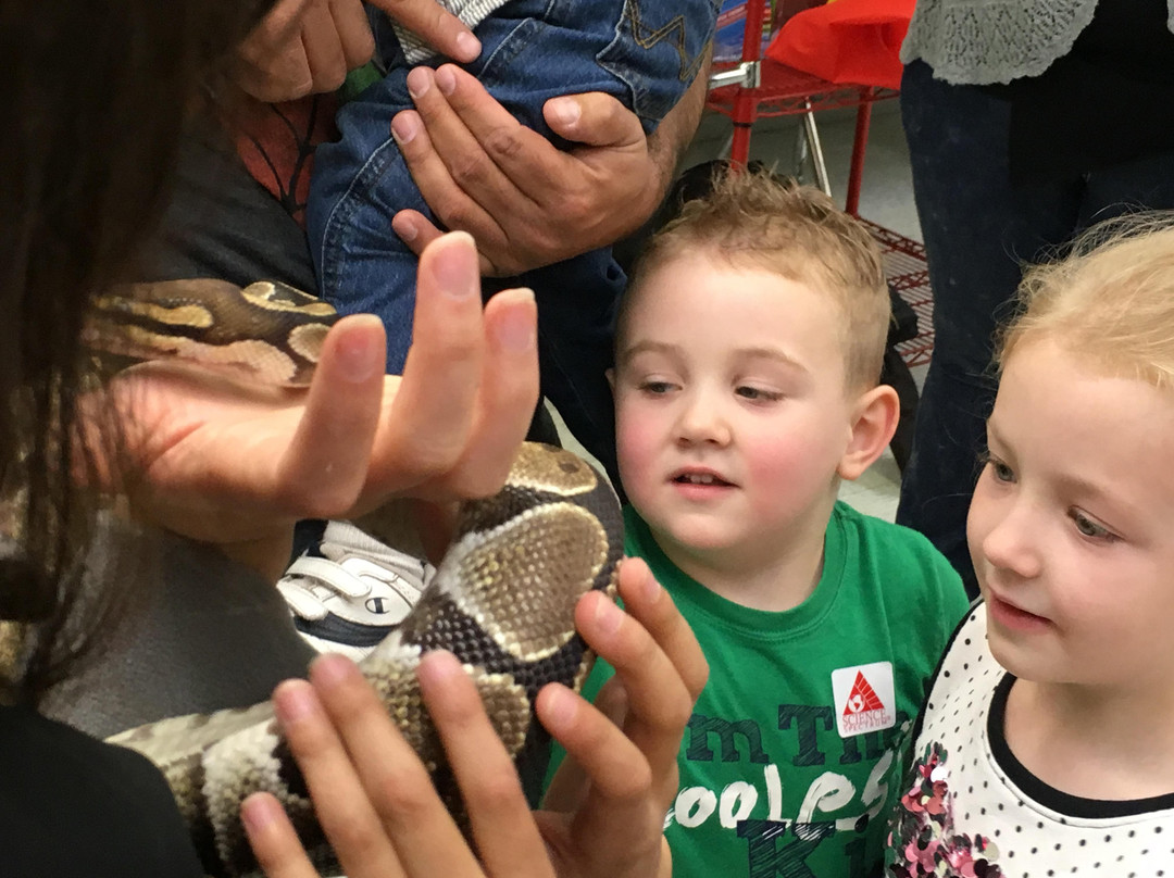 Science Spectrum Museum-拉伯克县必去景点