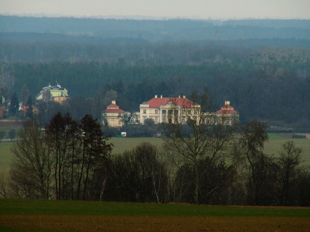 Adam Mickiewicz Museum景点图片